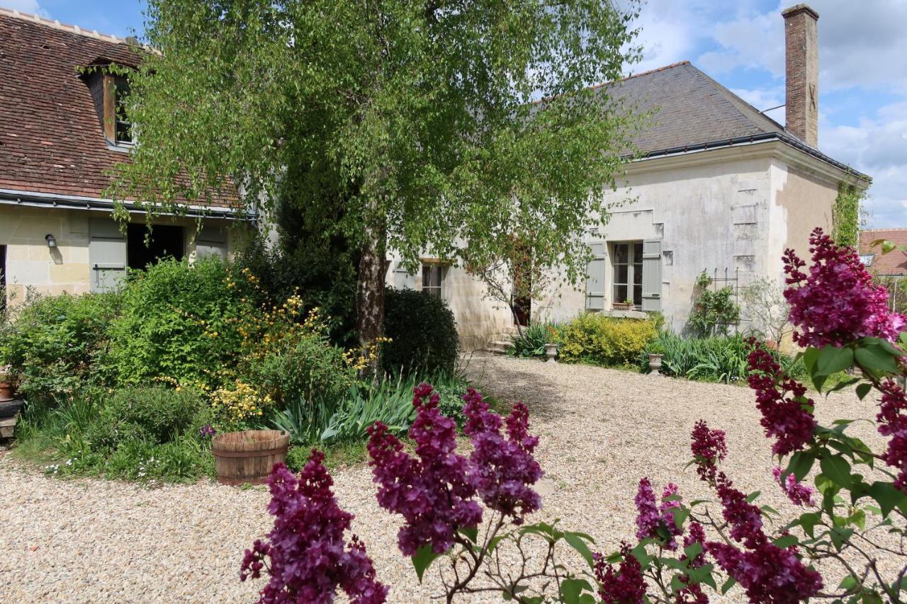 Près des châteaux de la Loire et du zoo de Beauval Cere-la-Ronde Exterior foto